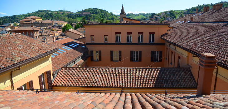vista dei tetti di Palazzo Pizzardi